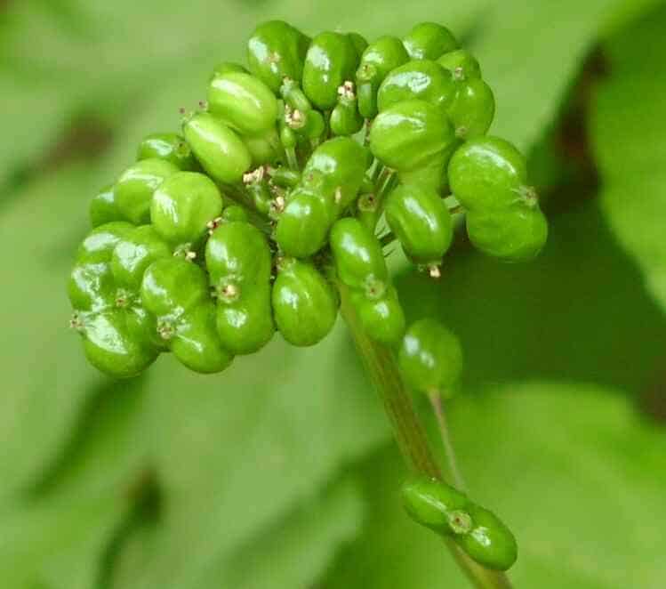 5849F047-5BBF-4538-B962-2BE68654C28E