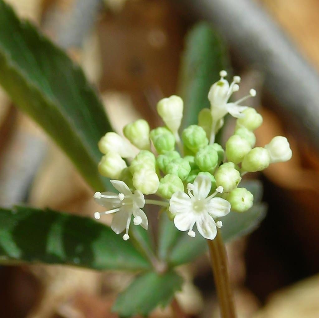 8023A5A3-606A-4DC2-9ABA-A21E5901332C