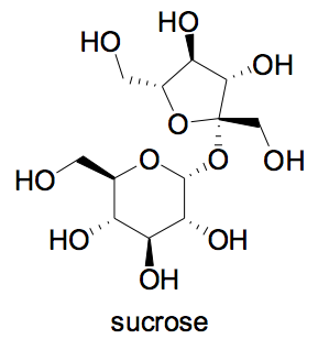 sucrose