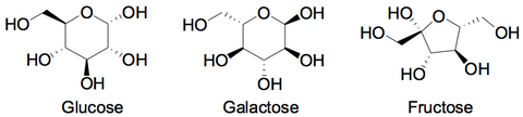 glucose galactose fructose