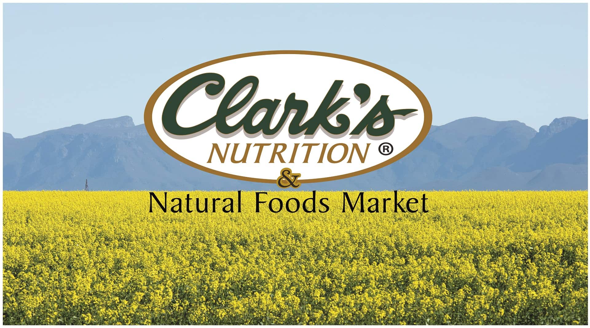 Clarks-Header_Final-min