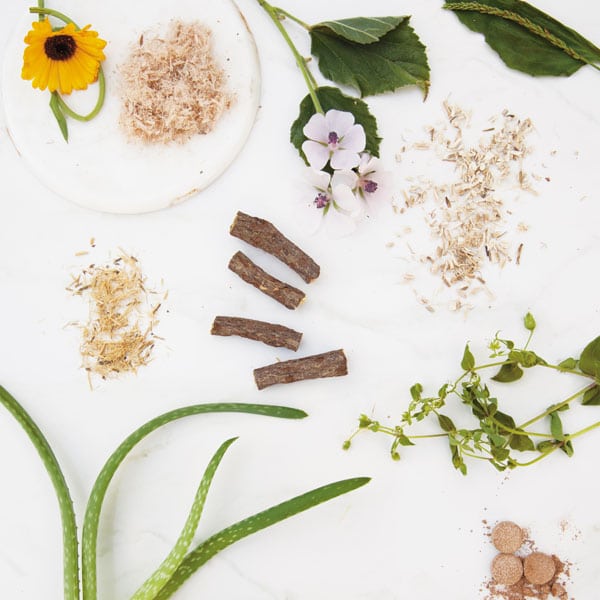 SQUARE76_cKimberlySandersPeck_SoothingHerbs_BodyIntoBalance-copy