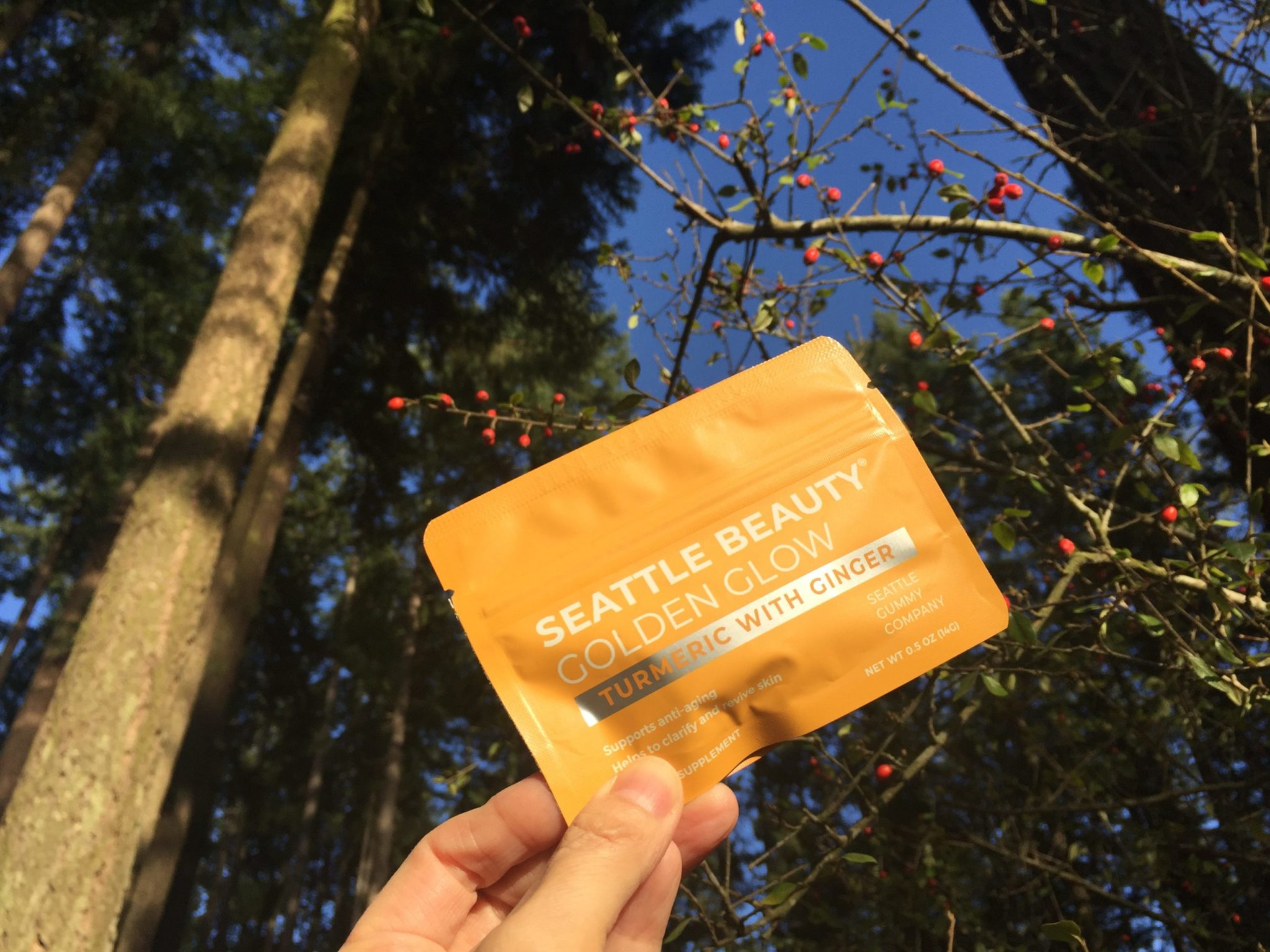 TurmericAntiinflammation