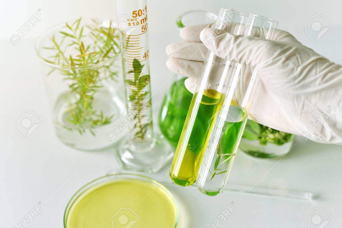 Natural medicine development in laboratory, Scientist researches