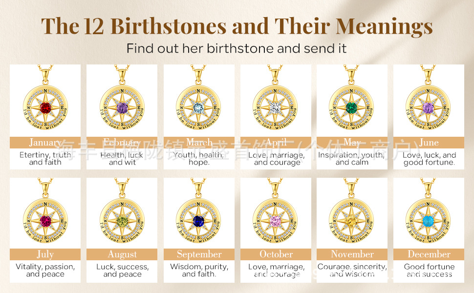 12 Months Birthstone Compass  -【Necklace】| 925 silver