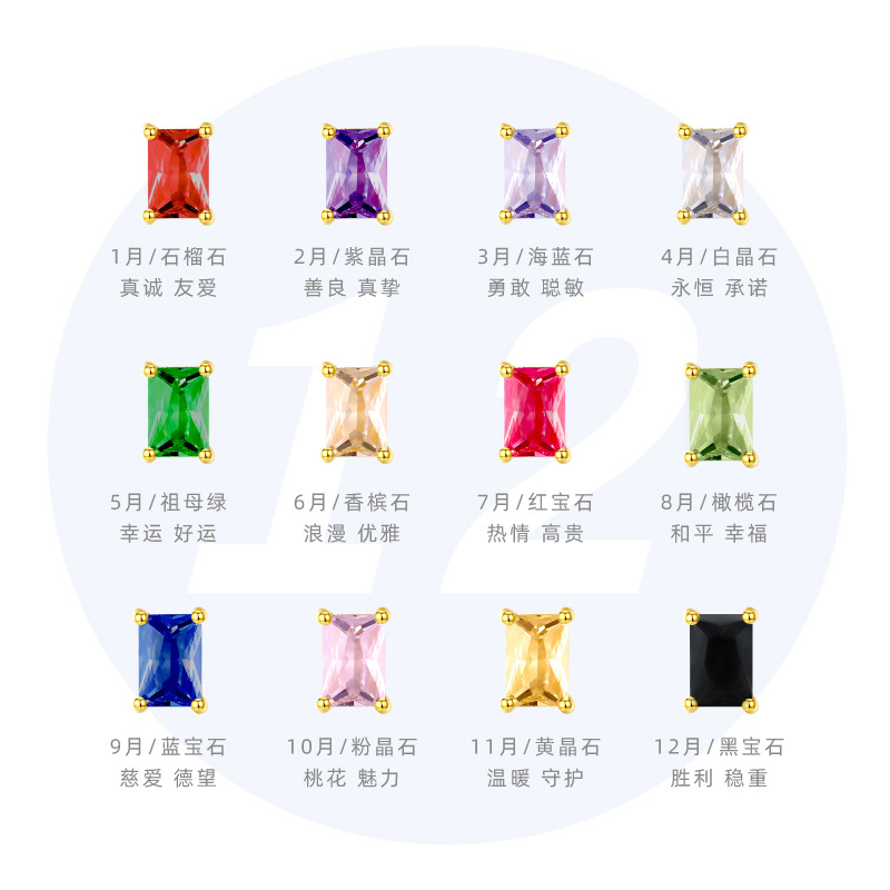 Zodiac Lucky -【Necklace】| 925 silver