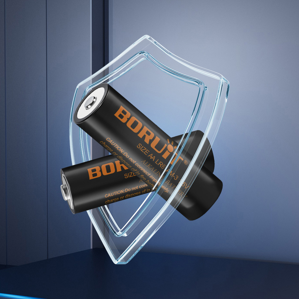 BORUiT AA Alkaline Battery, Silver-Blue Color, Durable, Compatible with Various Devices