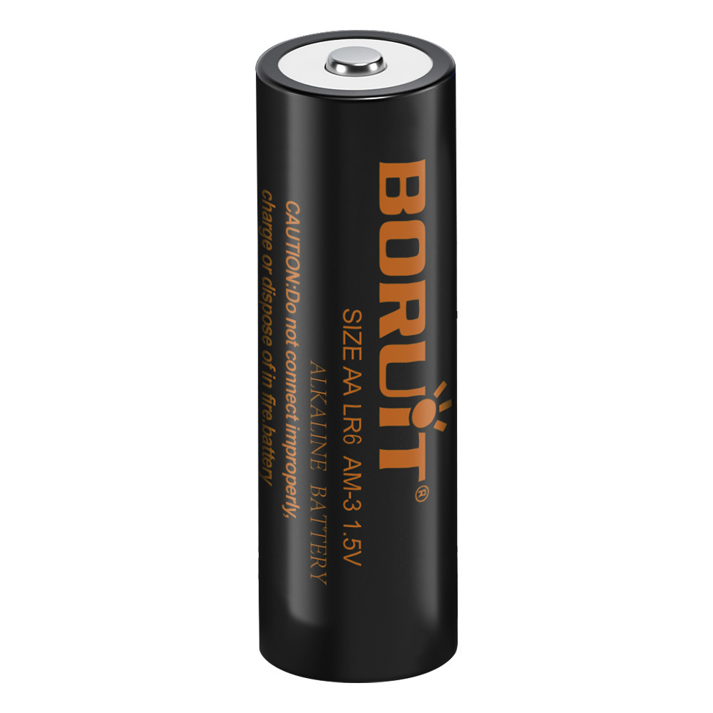 BORUiT AA Alkaline Battery, Silver-Blue Color, Durable, Compatible with Various Devices
