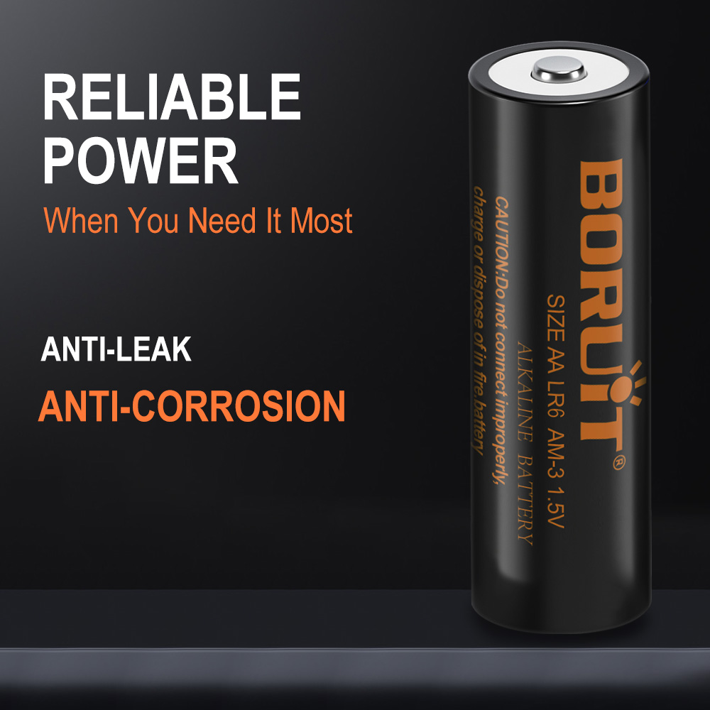 BORUiT AA Alkaline Battery, Silver-Blue Color, Durable, Compatible with Various Devices