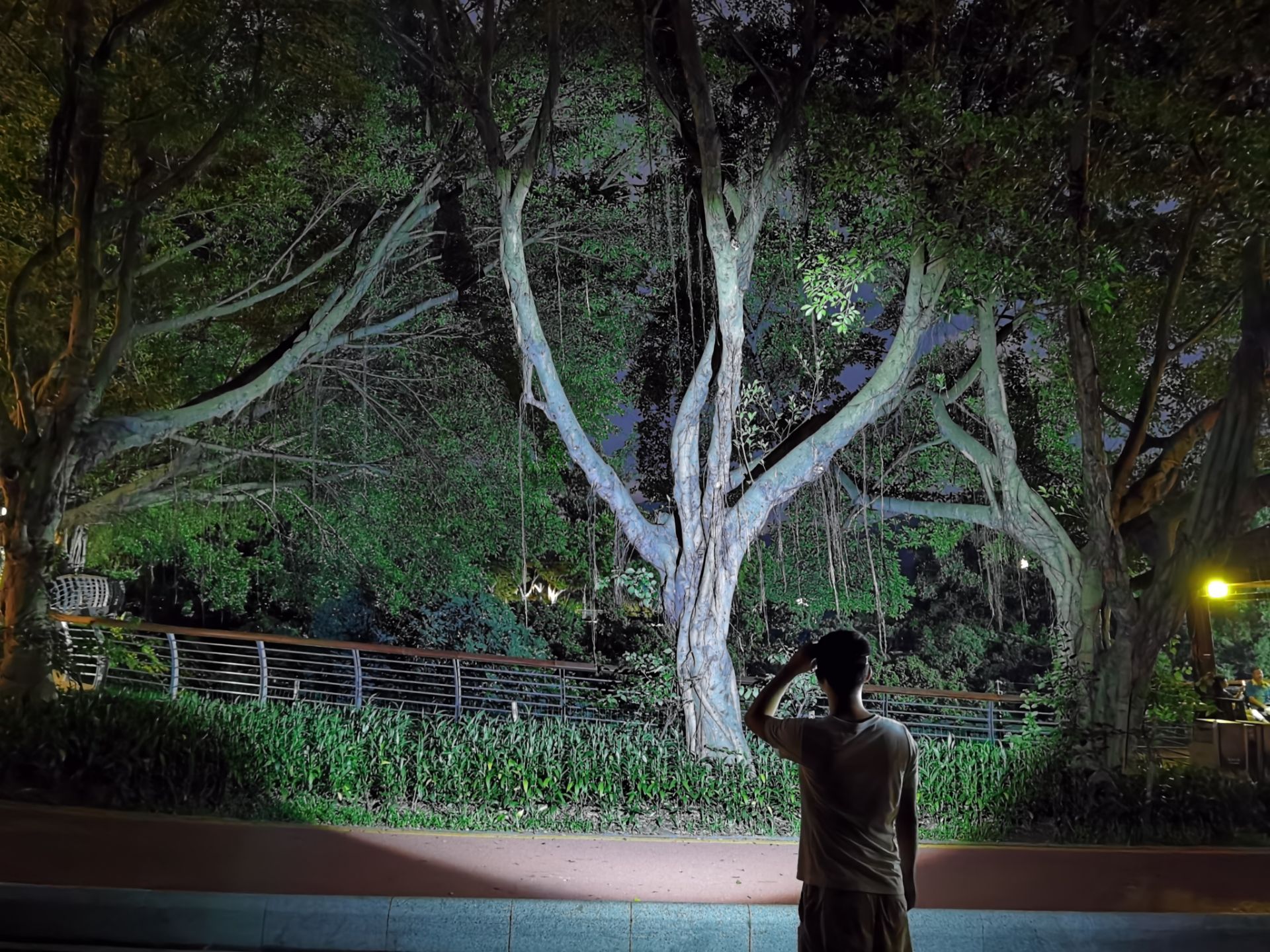 How to Choose the Best Headlamp