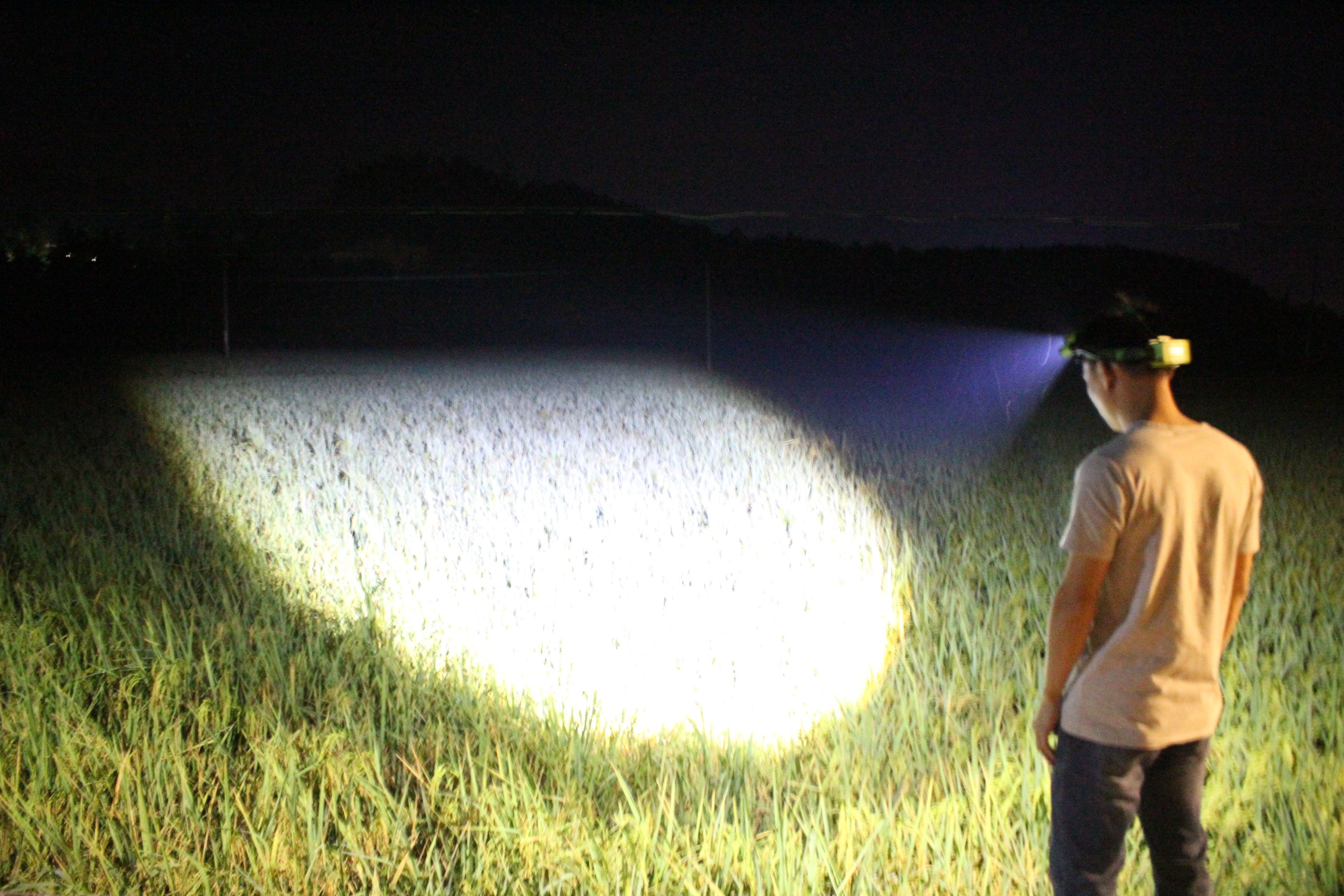 How to Choose the Best Headlamp