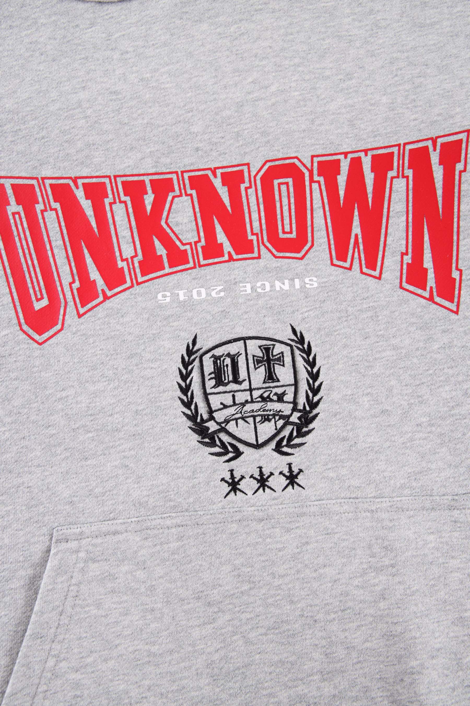 GREY BULLY HOODIE-Fineriform