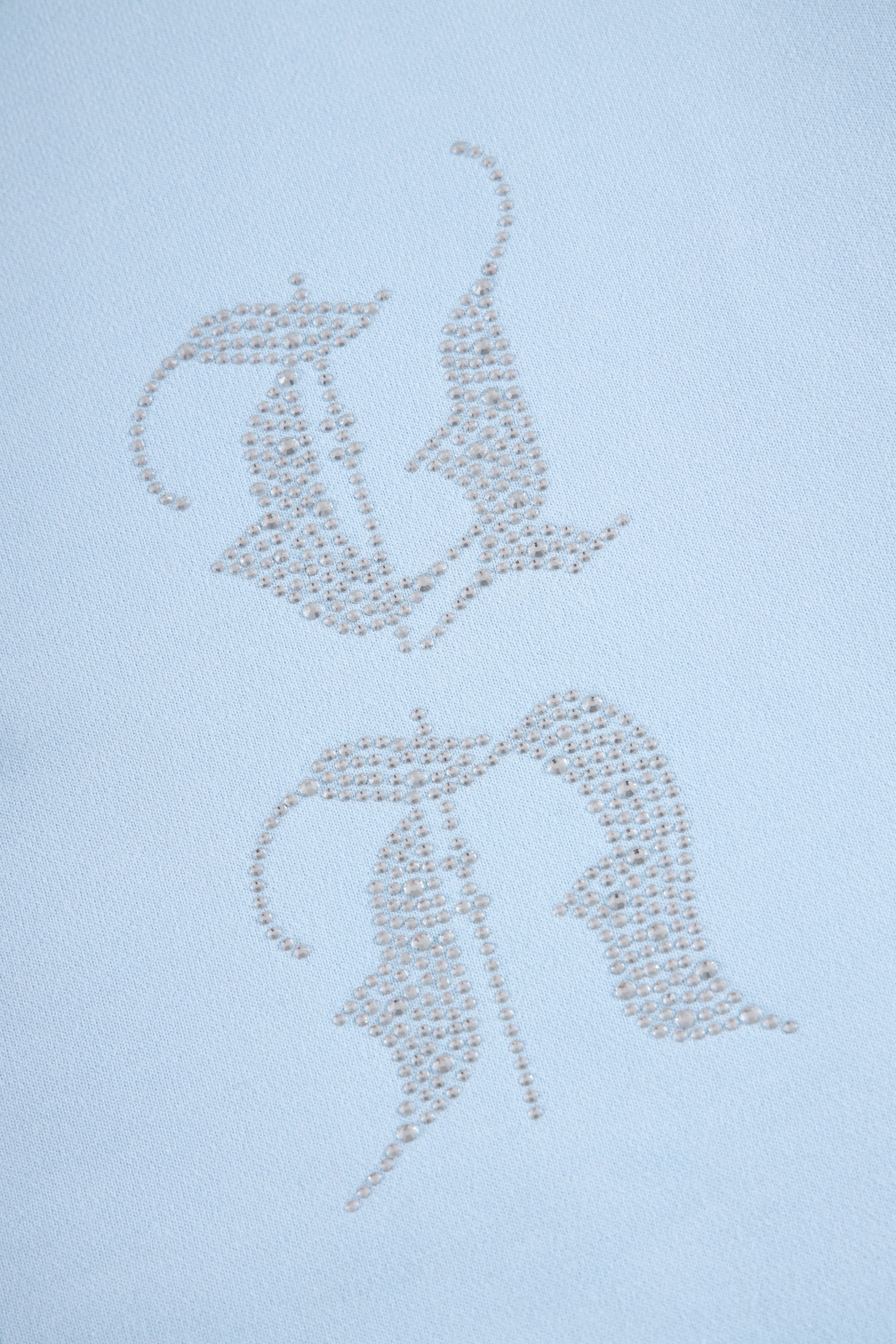 BABY BLUE RHINESTONE ZIP-Fineriform