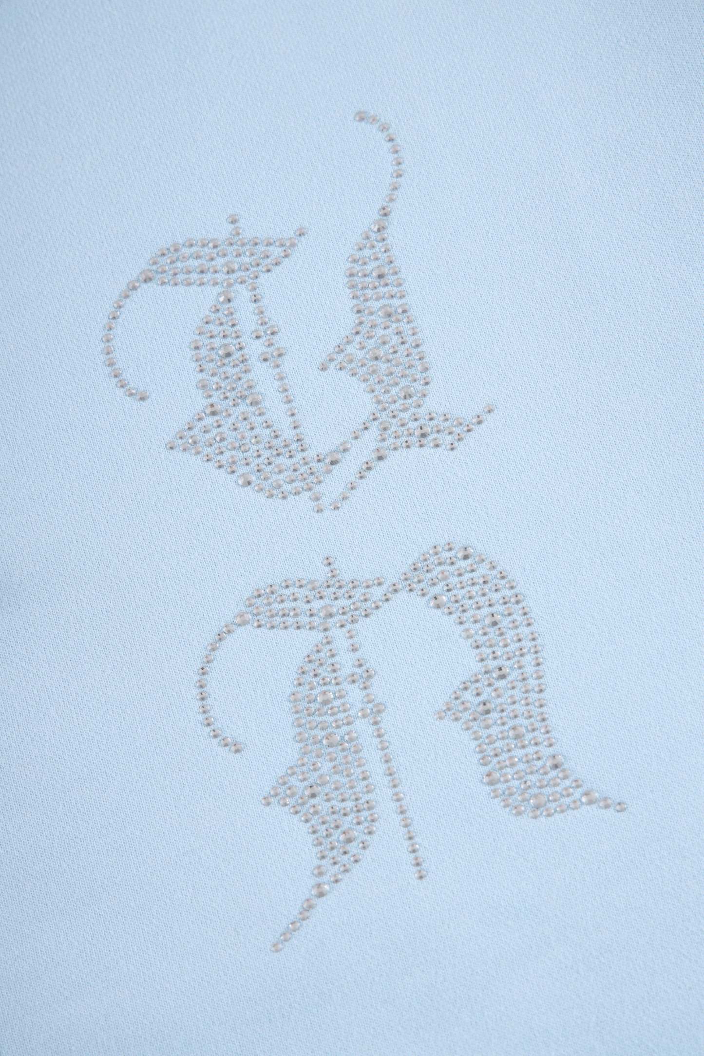 BABY BLUE RHINESTONE ZIP-Fineriform