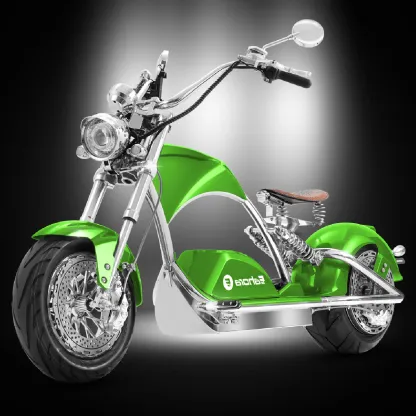 Electric motorcycle
