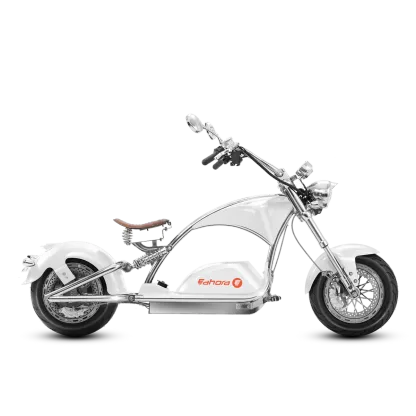 Electric motorcycle