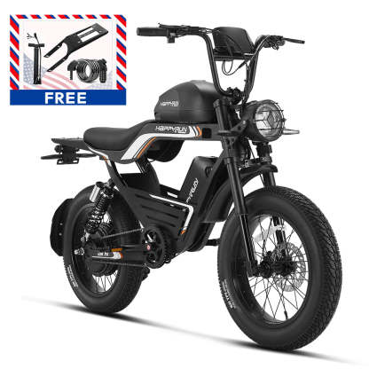 HappyRun G100 Pro 6000W Electric Bike Dual Battery