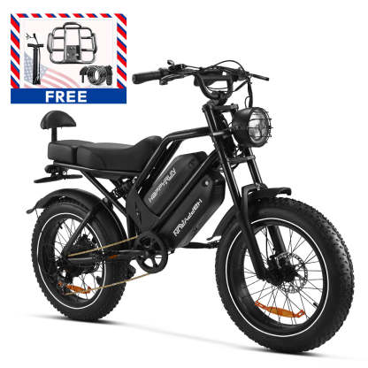 HappyRun G70 2000W Dual Battery Fast Electric Cargo Bike for Sale