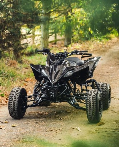 Yamaha raptor 450 - Mad Man Mechanics