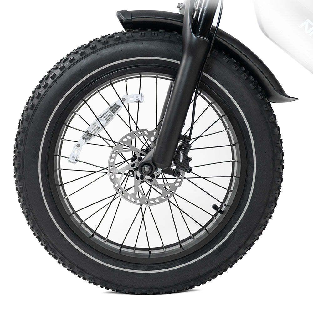 HappyRun G70 2000W Dual Battery Fast Electric Cargo Bike for Sale
