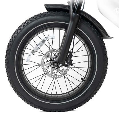 HappyRun G70 2000W Dual Battery Fast Electric Cargo Bike for Sale