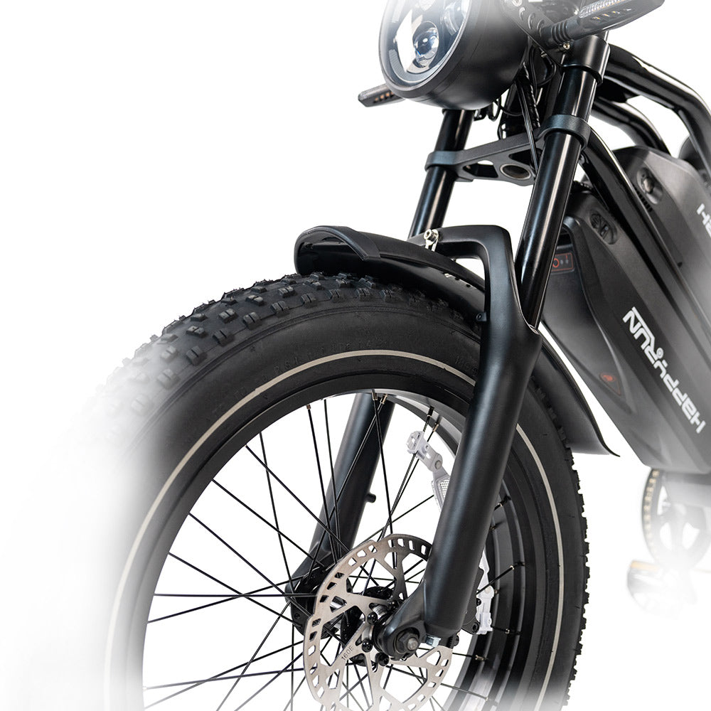HappyRun G70 2000W Dual Battery Fast Electric Cargo Bike for Sale
