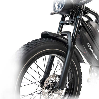 HappyRun G70 2000W Dual Battery Fast Electric Cargo Bike for Sale