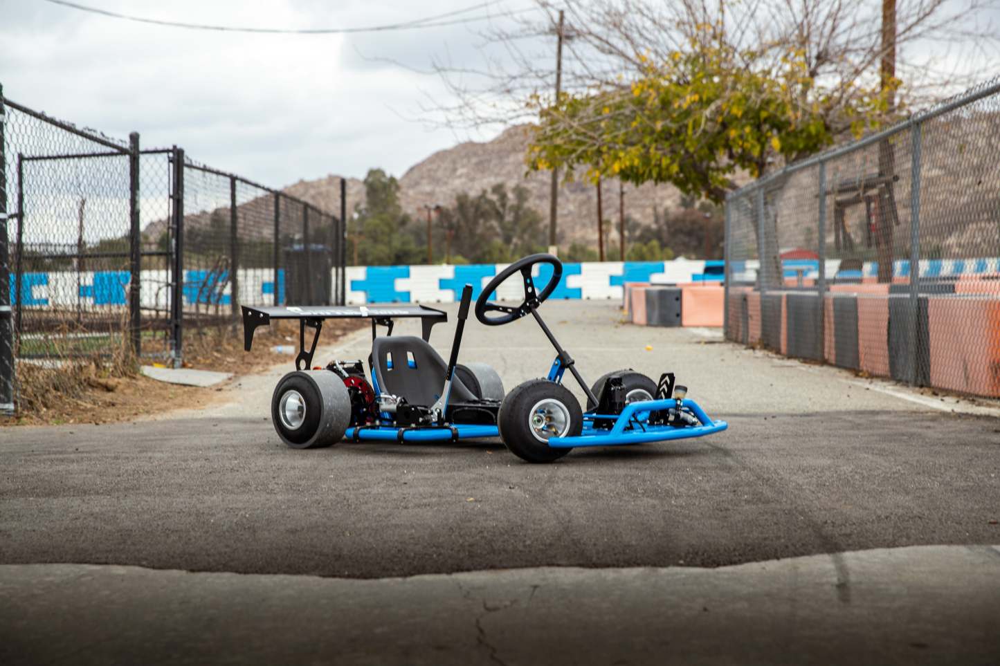 Drift Kart (Electric QS165 10KW)