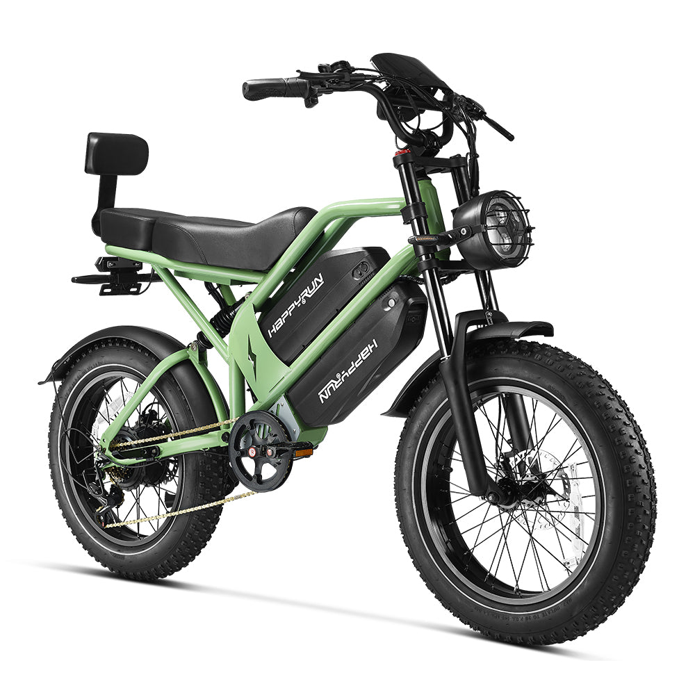 HappyRun G70 2000W Dual Battery Fast Electric Cargo Bike for Sale
