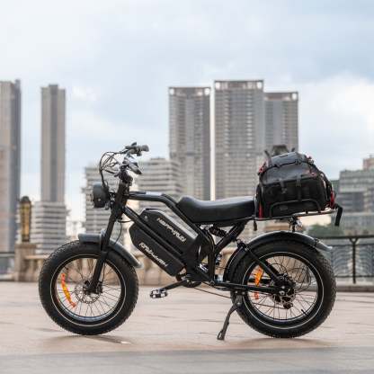 HappyRun G70 2000W Dual Battery Fast Electric Cargo Bike for Sale