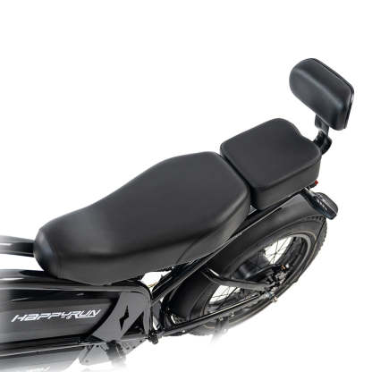 HappyRun G70 2000W Dual Battery Fast Electric Cargo Bike for Sale