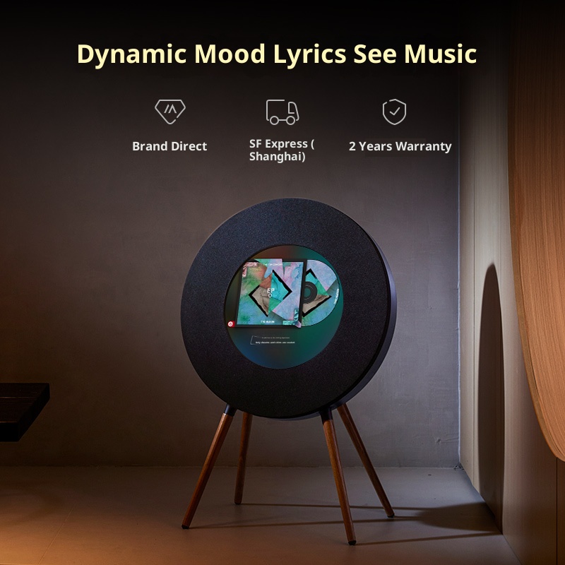 Black vinyl record, floating lyrics subtitles, wireless Bluetooth speaker
