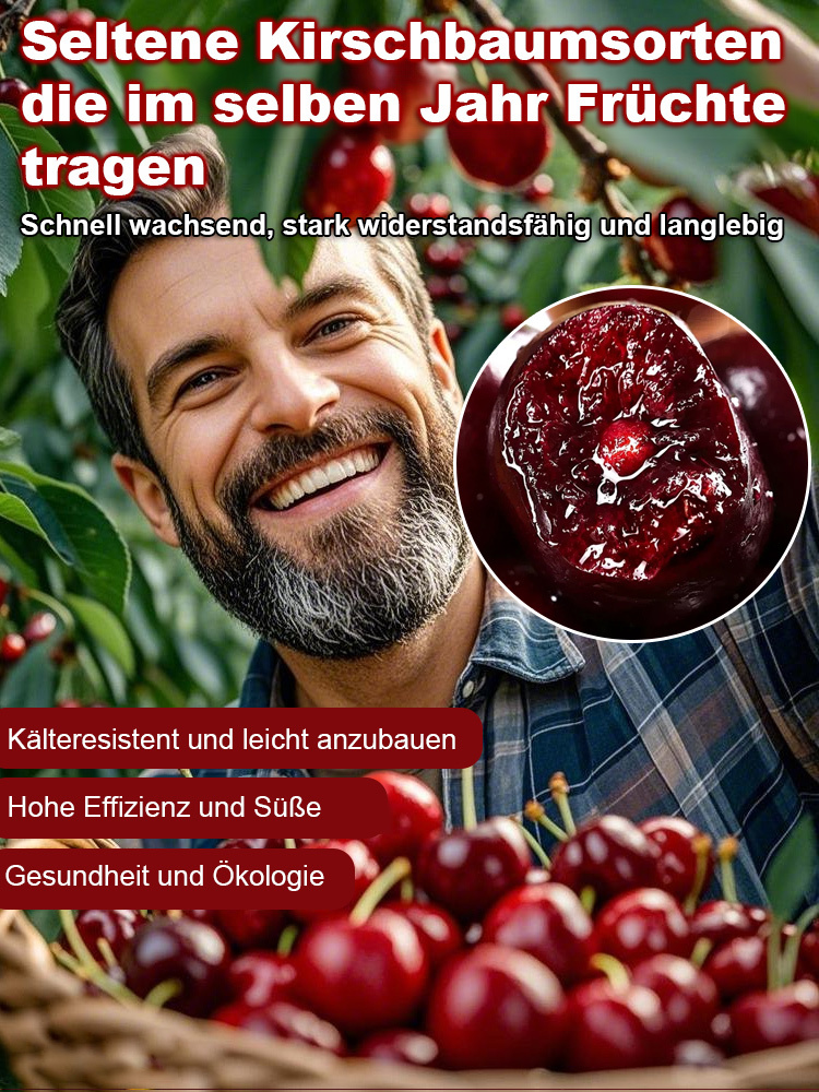 🍒Seltene Kirschbaumsetzlinge, die im selben Jahr fruchtbar sind – Pflegeleicht und anfängerfreundlich