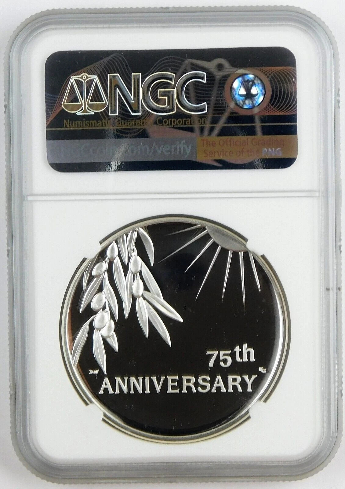 2020 P End of World War 2, II 75th Anniversary 1oz Silver Medal Eagle NGC PF70