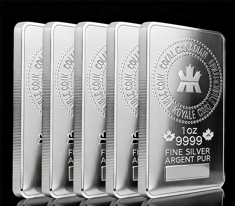 🔥Canada New Year Special🔥1 oz Commemorative Collectible Coin