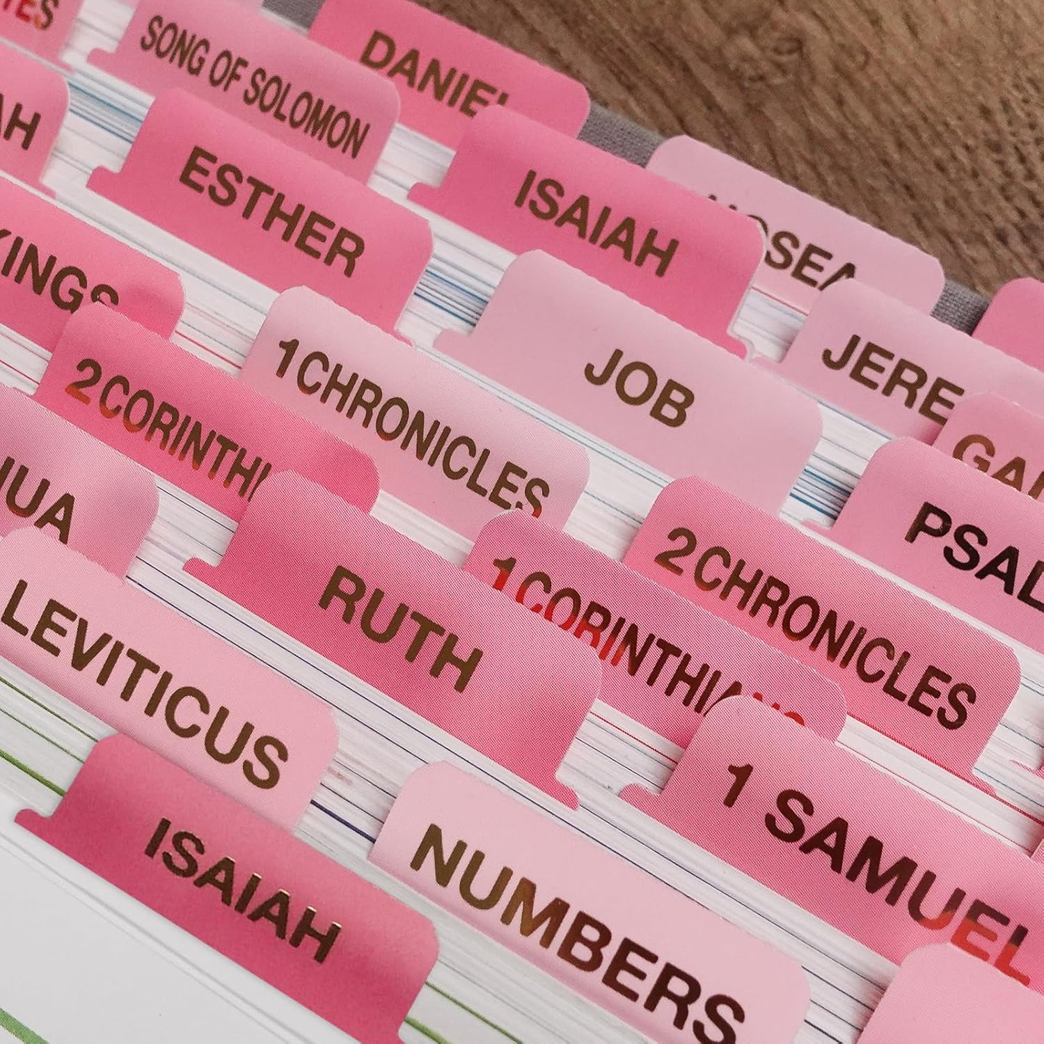 Elegant Pink Bible Tabs for Women | Large Print  Book Index Tabs for Catholic & ESV Bibles