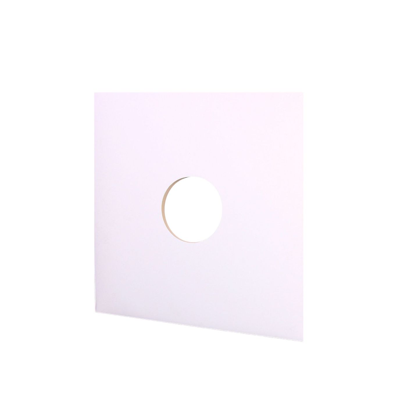 Vinyl Record Protector Bag