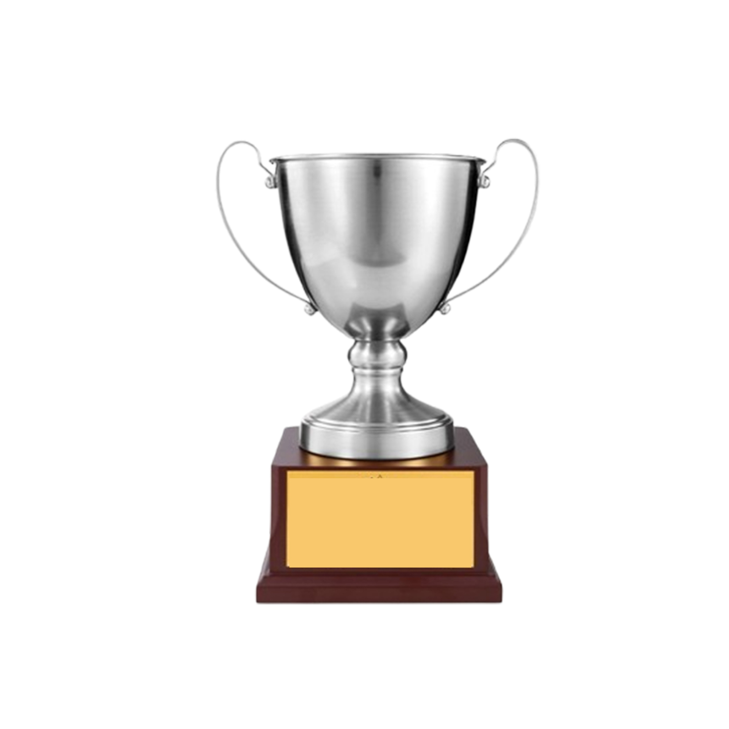 Large Premium Metal Awards for Employee Recognition and Sports Competitions 