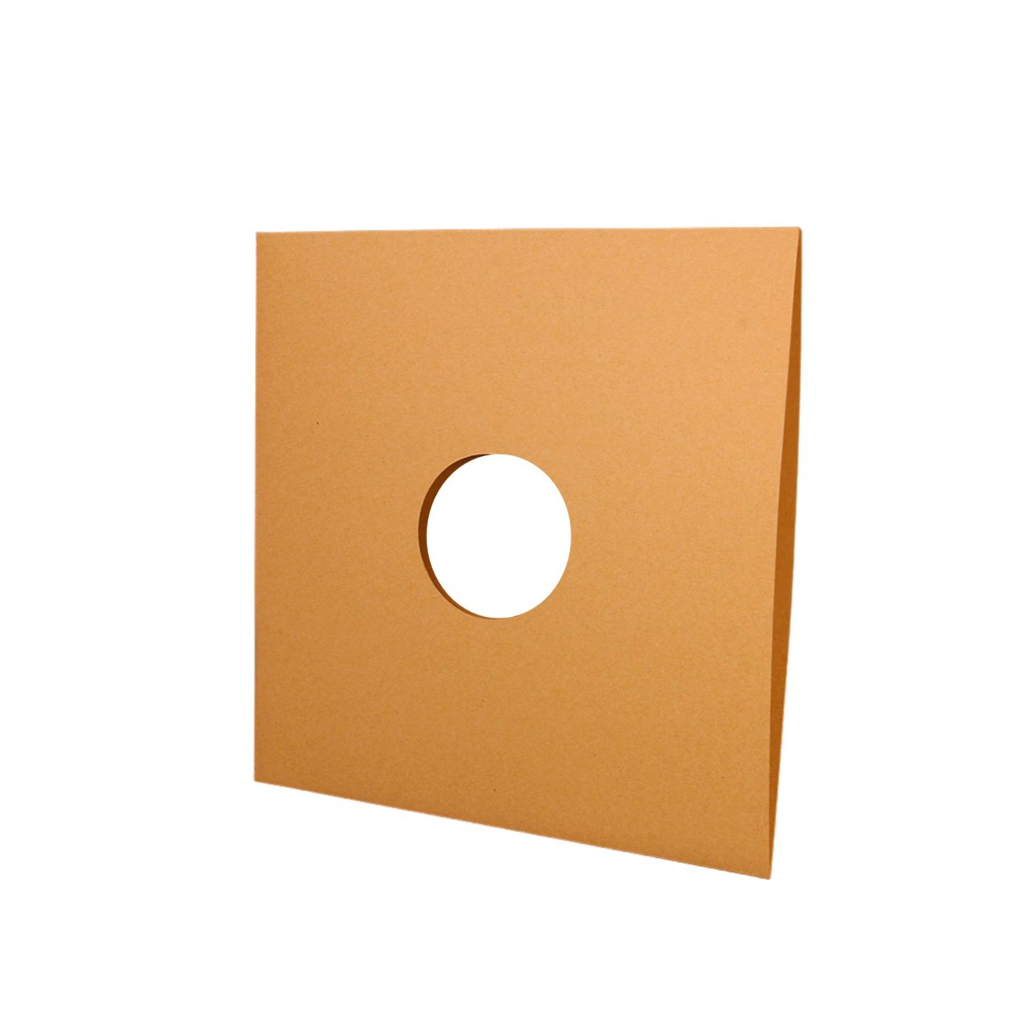 Vinyl Record Protector Bag