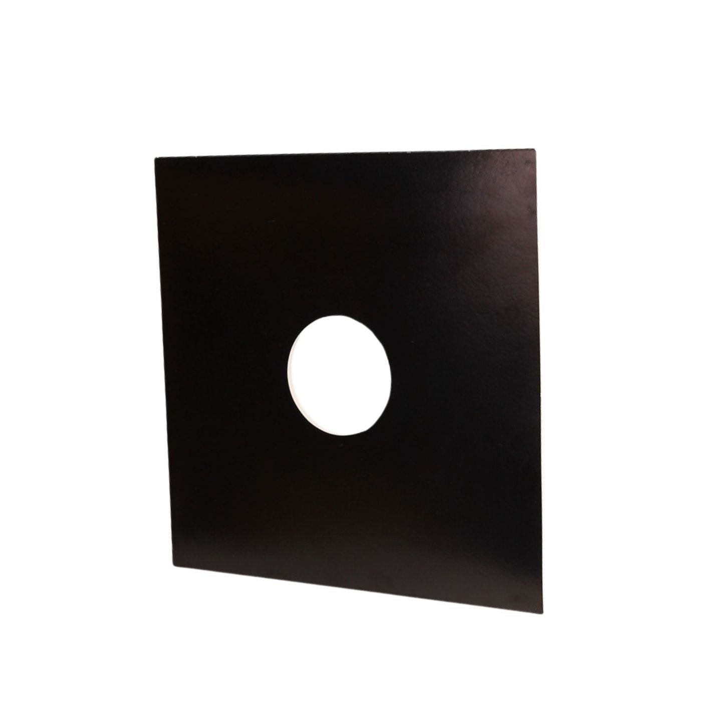 Vinyl Record Protector Bag