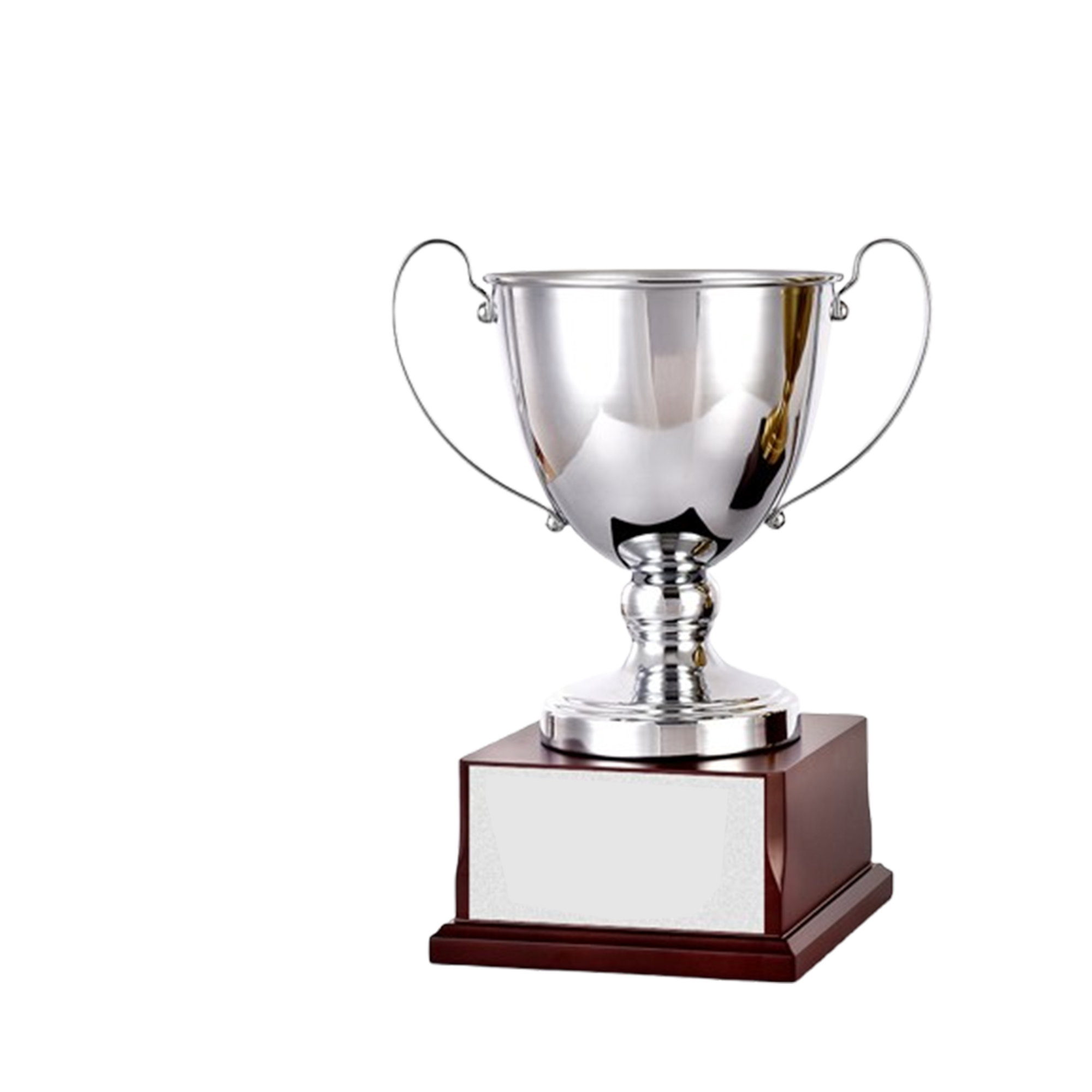 Large Premium Metal Awards for Employee Recognition and Sports Competitions 