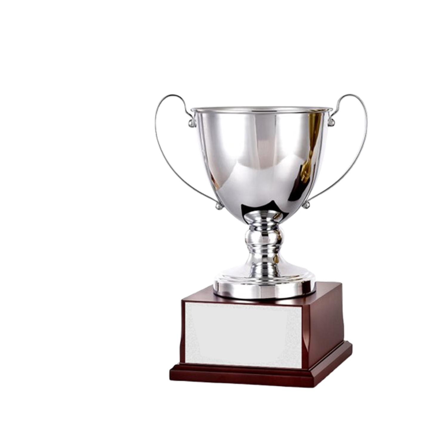 Large Premium Metal Awards for Employee Recognition and Sports Competitions 