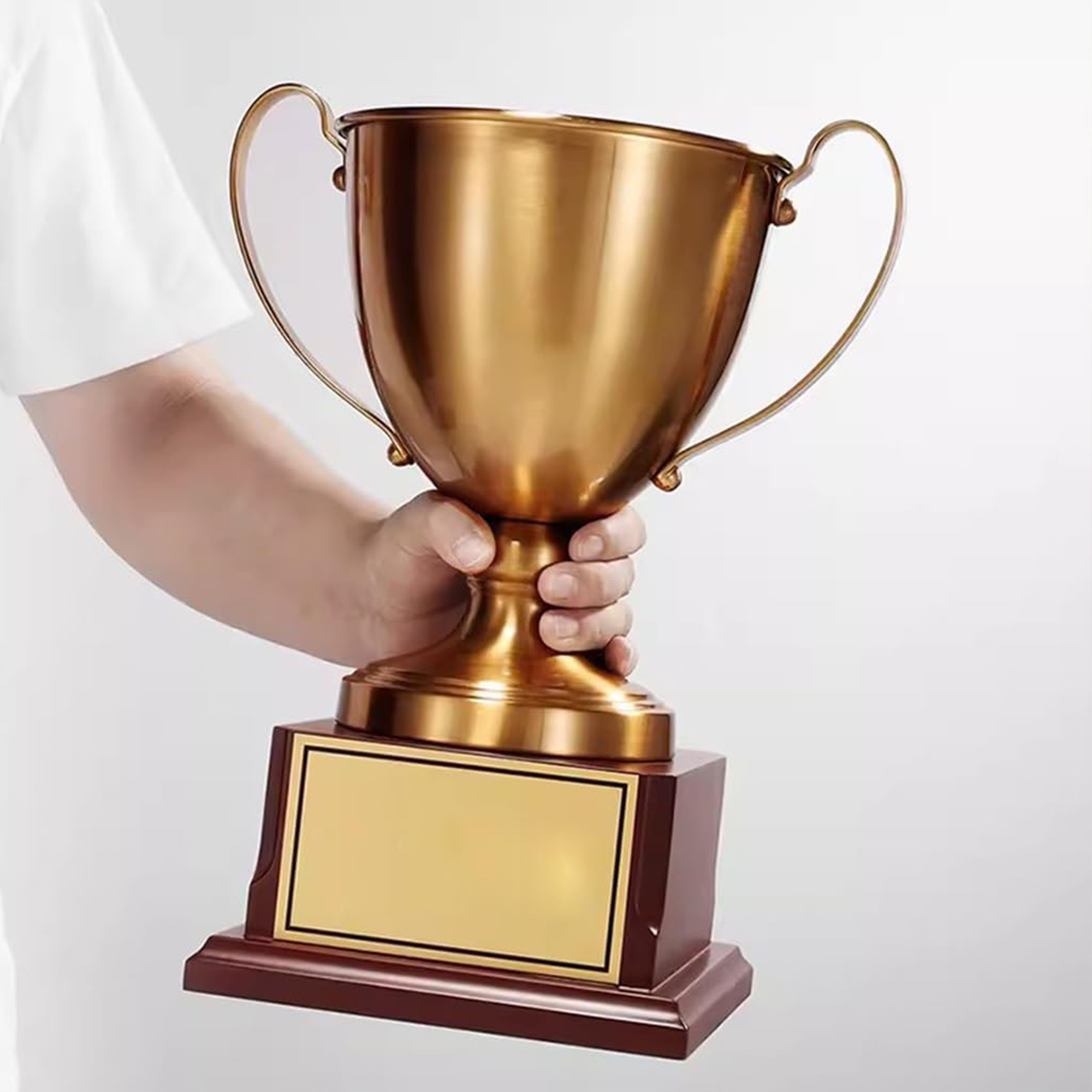 Large Premium Metal Awards for Employee Recognition and Sports Competitions 