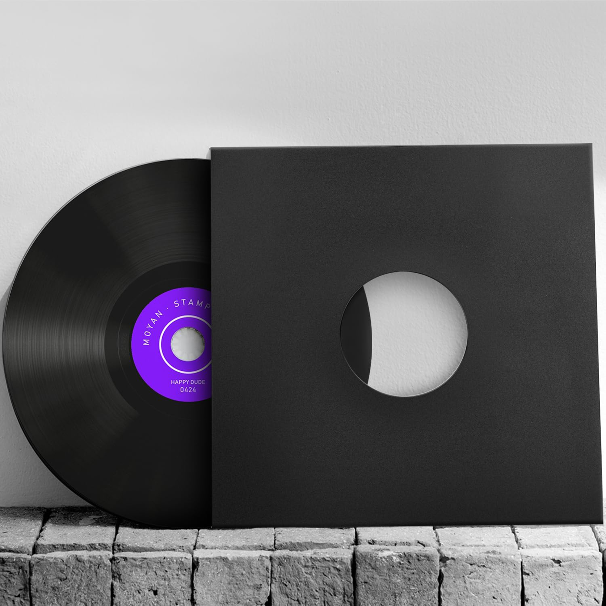 Vinyl Record Protector Bag