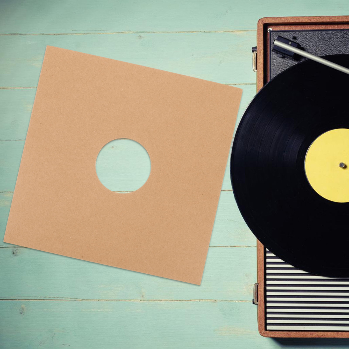 Vinyl Record Protector Bag