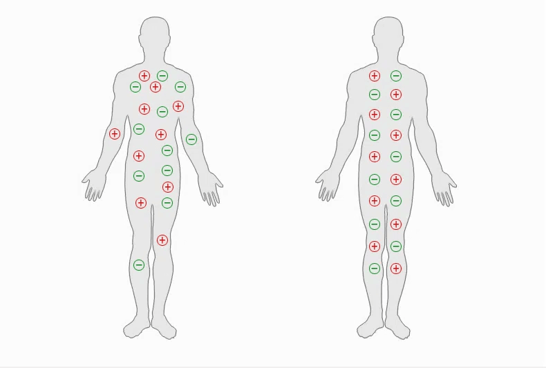 Honeycam 2026-01-12 17-35-19.gif