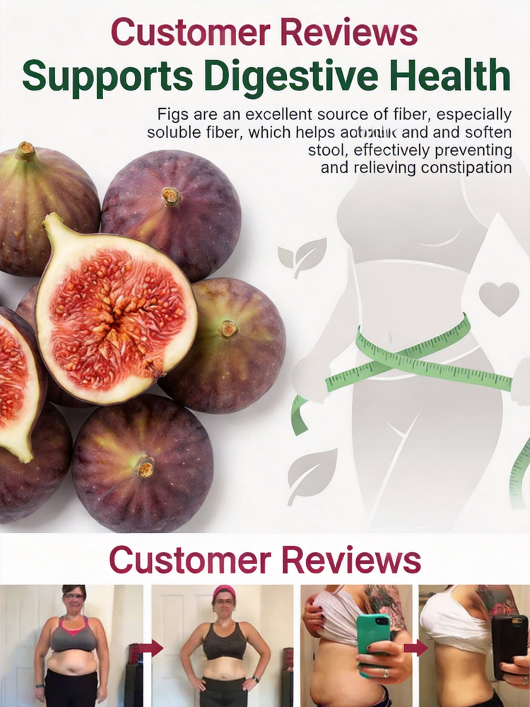 [Enjoy fresh fruit daily] 👅Fig seedlings imported from Greece【Alive on Arrival Guarantee】