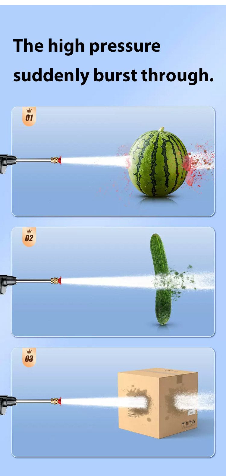 sq_23.jpg