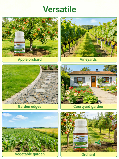 🔥【10x refund if ineffective】⚡ Ultimate Pro Weed Killer Concentrate: Visible Results in 3 Hours🏅10-Time Global Award Winner. Farm-to-Backyard Ready.