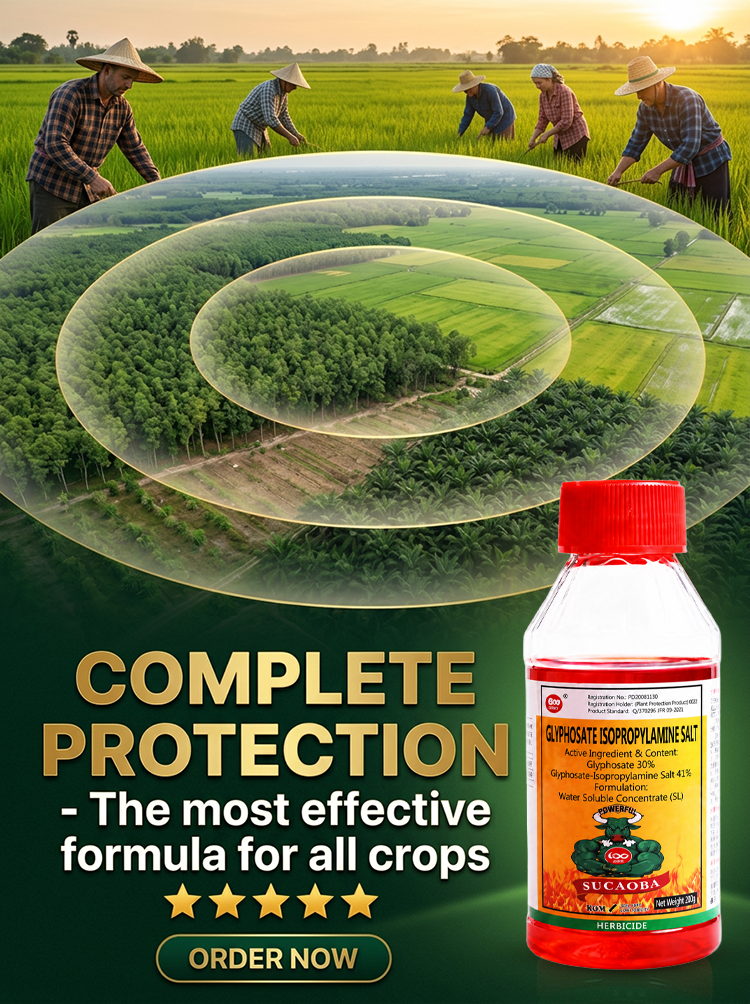 【EcoGuard Formula】🍃BioWeedZero™ - 🛡️Herbicide and root rot control agent！♻️99% Elimination in 3 Hours, ⚡Pet & Kid Safe!！Half Dose, Double Impact. 5-Year Weed Protection！🏅